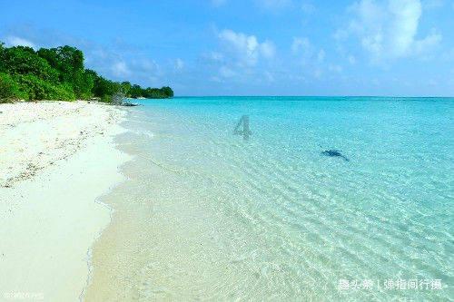 有什么和鲁大师类似的软件么?能评估电脑性能、检测硬件的?-有问必答平台官网